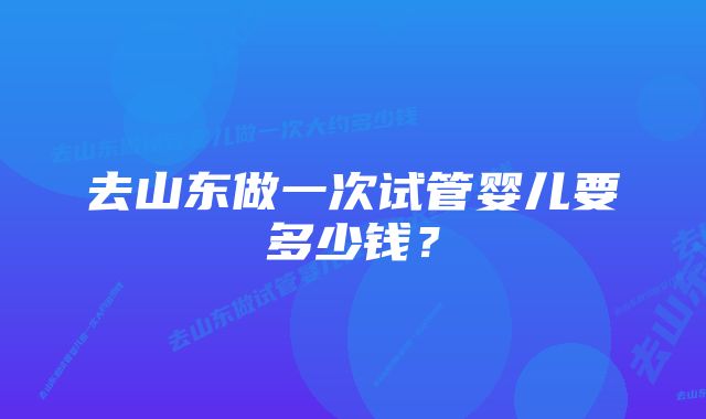 去山东做一次试管婴儿要多少钱？