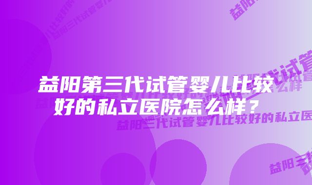 益阳第三代试管婴儿比较好的私立医院怎么样？