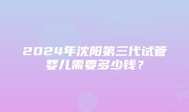 2024年沈阳第三代试管婴儿需要多少钱？