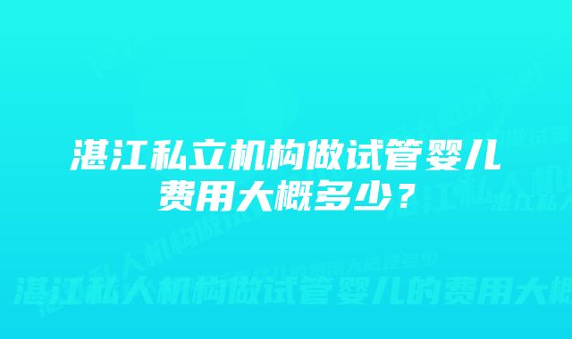 湛江私立机构做试管婴儿费用大概多少？