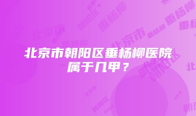 北京市朝阳区垂杨柳医院属于几甲？