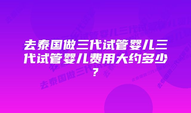 去泰国做三代试管婴儿三代试管婴儿费用大约多少?