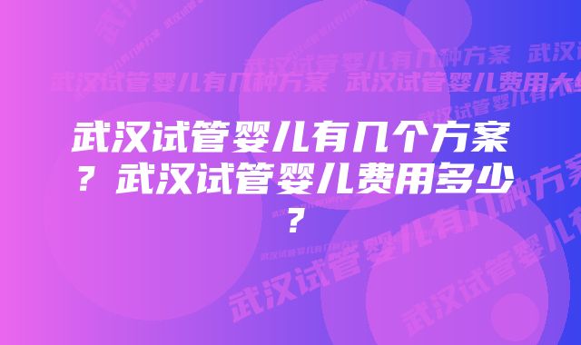 武汉试管婴儿有几个方案？武汉试管婴儿费用多少？