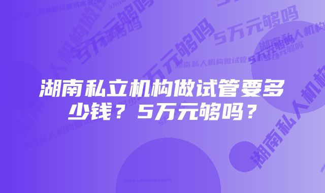 湖南私立机构做试管要多少钱？5万元够吗？