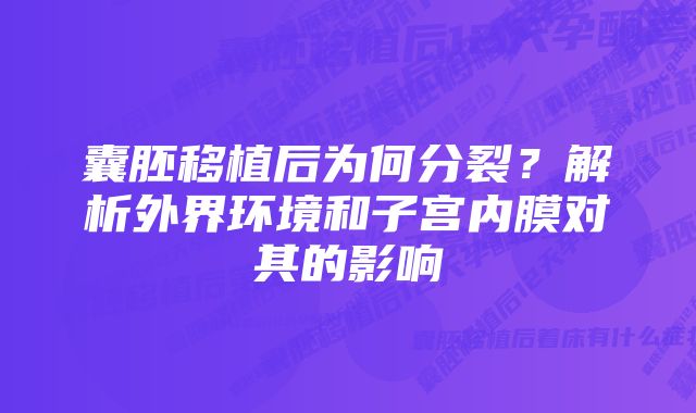 囊胚移植后为何分裂？解析外界环境和子宫内膜对其的影响