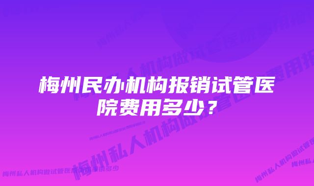 梅州民办机构报销试管医院费用多少？