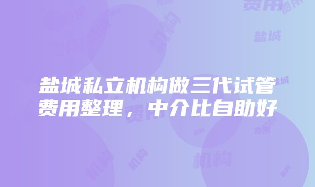 盐城私立机构做三代试管费用整理，中介比自助好