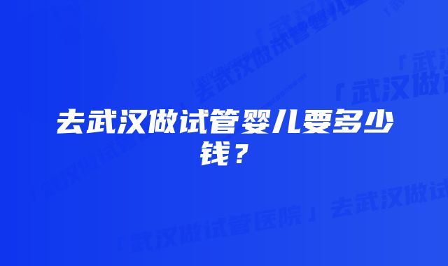 去武汉做试管婴儿要多少钱？