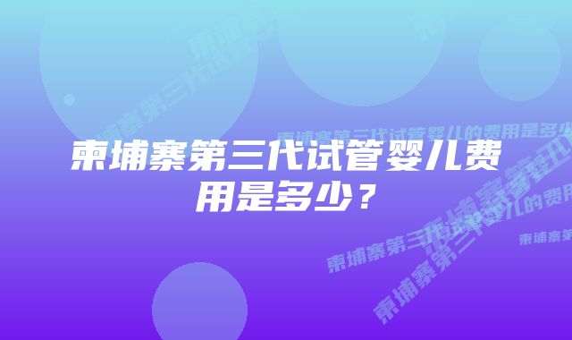 柬埔寨第三代试管婴儿费用是多少？