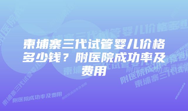 柬埔寨三代试管婴儿价格多少钱？附医院成功率及费用