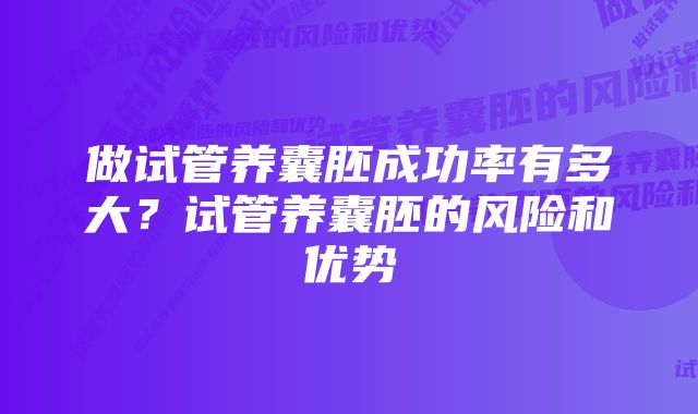 做试管养囊胚成功率有多大？试管养囊胚的风险和优势