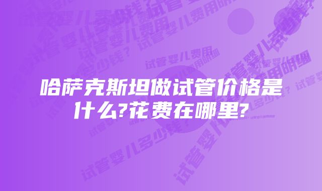 哈萨克斯坦做试管价格是什么?花费在哪里?