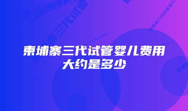 柬埔寨三代试管婴儿费用大约是多少