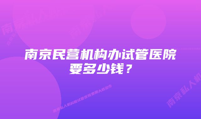 南京民营机构办试管医院要多少钱？