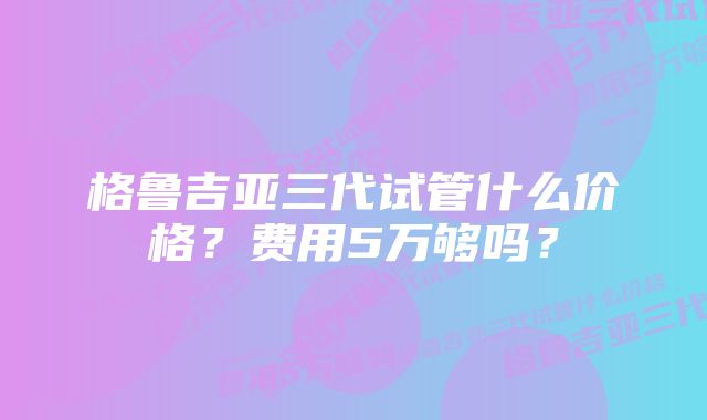 格鲁吉亚三代试管什么价格？费用5万够吗？