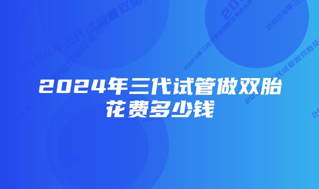 2024年三代试管做双胎花费多少钱