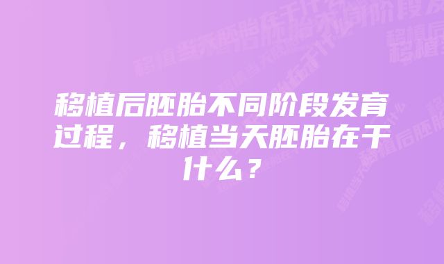 移植后胚胎不同阶段发育过程，移植当天胚胎在干什么？