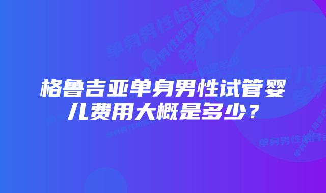 格鲁吉亚单身男性试管婴儿费用大概是多少？