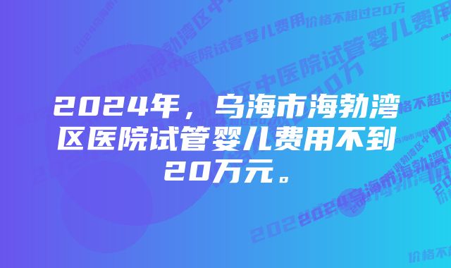 2024年，乌海市海勃湾区医院试管婴儿费用不到20万元。