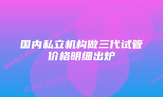 国内私立机构做三代试管价格明细出炉