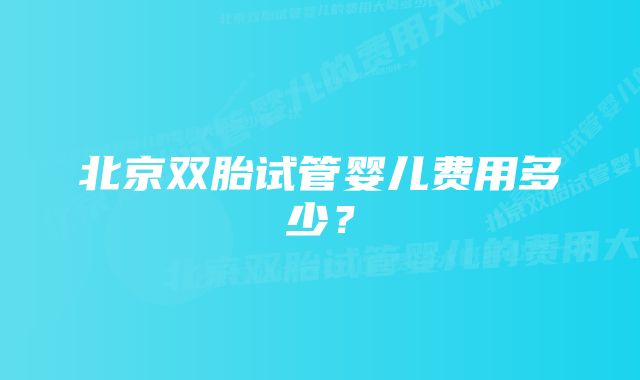 北京双胎试管婴儿费用多少？