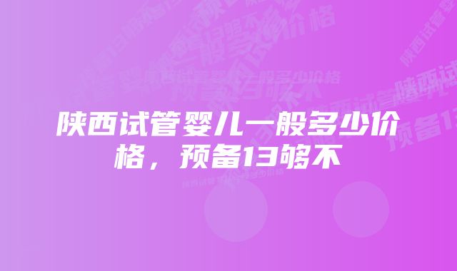 陕西试管婴儿一般多少价格，预备13够不