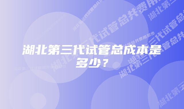 湖北第三代试管总成本是多少？