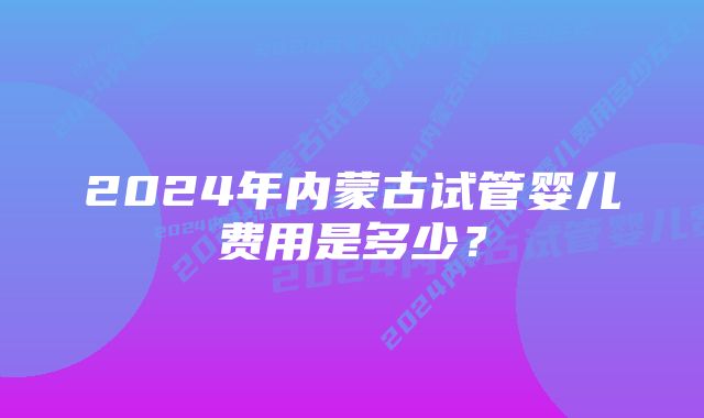 2024年内蒙古试管婴儿费用是多少？