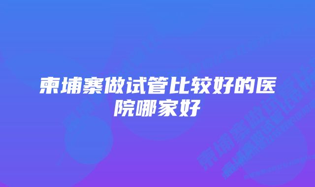 柬埔寨做试管比较好的医院哪家好