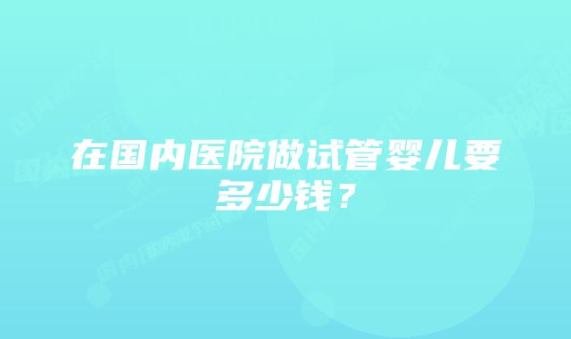 在国内医院做试管婴儿要多少钱？