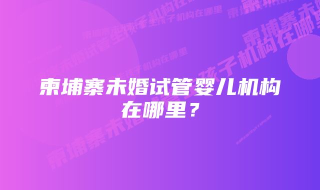 柬埔寨未婚试管婴儿机构在哪里？