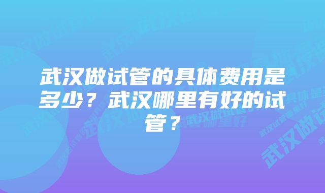 武汉做试管的具体费用是多少？武汉哪里有好的试管？