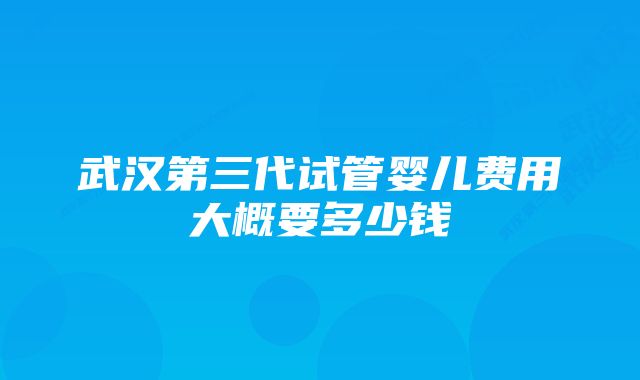 武汉第三代试管婴儿费用大概要多少钱