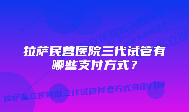 拉萨民营医院三代试管有哪些支付方式？