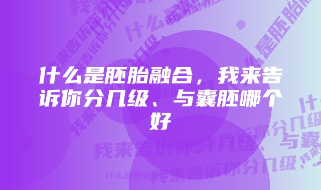 什么是胚胎融合，我来告诉你分几级、与囊胚哪个好