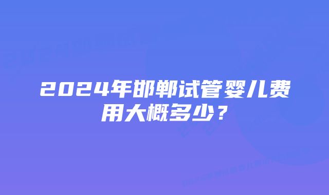 2024年邯郸试管婴儿费用大概多少？