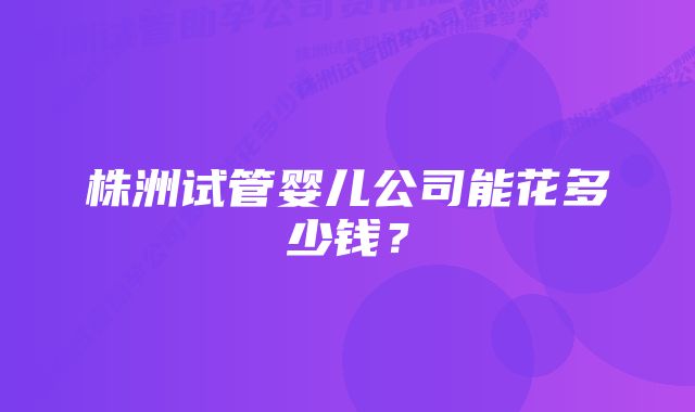 株洲试管婴儿公司能花多少钱？