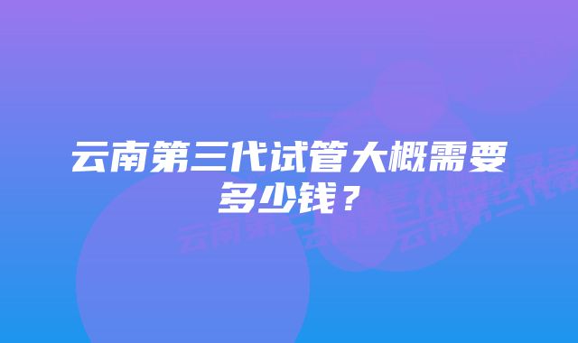 云南第三代试管大概需要多少钱？