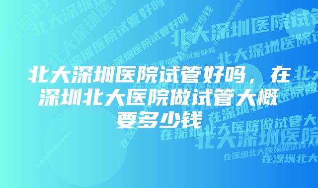 北大深圳医院试管好吗，在深圳北大医院做试管大概要多少钱