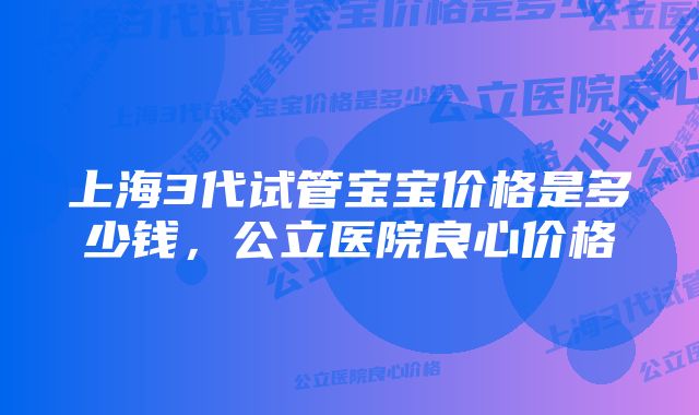 上海3代试管宝宝价格是多少钱，公立医院良心价格