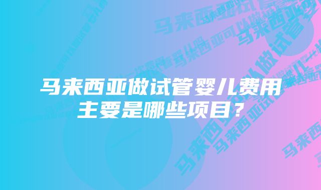 马来西亚做试管婴儿费用主要是哪些项目？