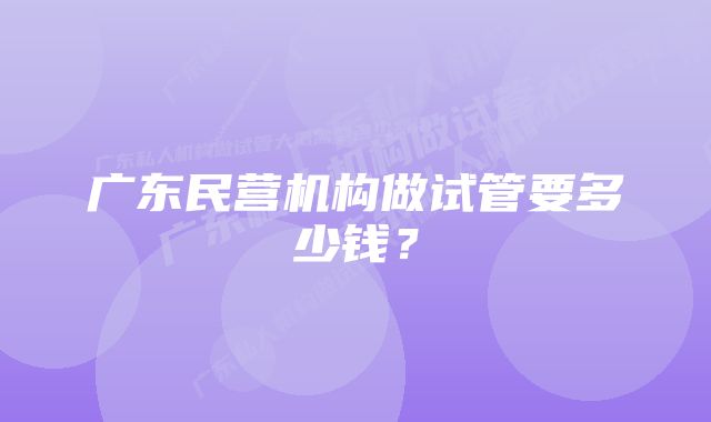 广东民营机构做试管要多少钱？