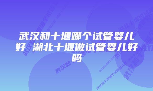 武汉和十堰哪个试管婴儿好 湖北十堰做试管婴儿好吗