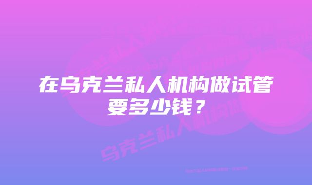 在乌克兰私人机构做试管要多少钱？