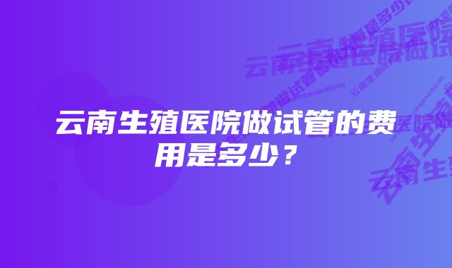 云南生殖医院做试管的费用是多少？