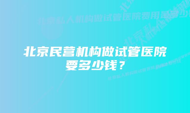 北京民营机构做试管医院要多少钱？