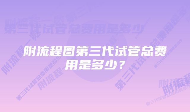 附流程图第三代试管总费用是多少？