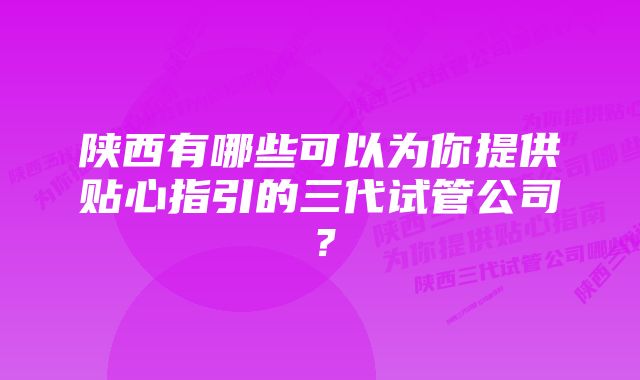 陕西有哪些可以为你提供贴心指引的三代试管公司？