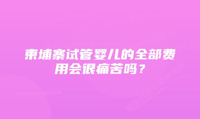 柬埔寨试管婴儿的全部费用会很痛苦吗？