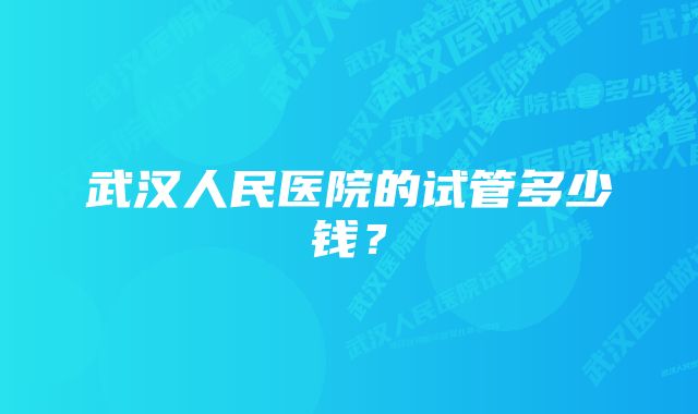 武汉人民医院的试管多少钱？